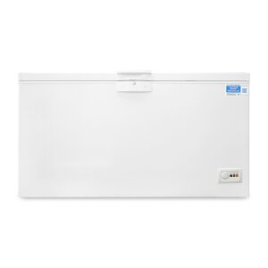 Beko HSA47530N Gefriertruhe