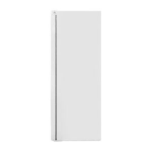 Hisense FV306N4CW2 Gefrierschrank