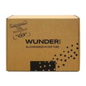 WunderRein Allzweck Reinigungsset, 2 x WunderRein Paste + Magic Eraser + Reinigungsstein + Mikrofasertuch