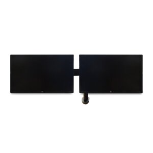 LG 27QP88D-B 27 Zoll Ergo Dual Monitor