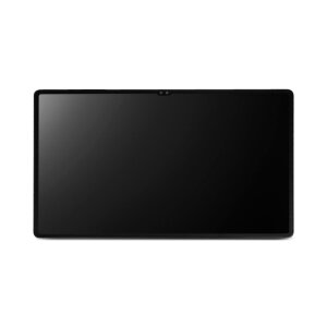 Samsung Galaxy Tab S8 Ultra Tablet 256GB WiFi grau SM-X900NZAEEUB