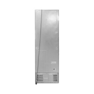 Samsung RL38A6B6C22/EG Kühl-Gefrierkombination