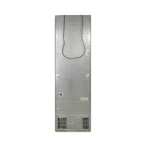 Samsung RL38A7CGTS9/ EG Kühl-Gefrierkombination