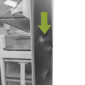 Samsung RL36R8739S9-EG Kühl-Gefrierkombination