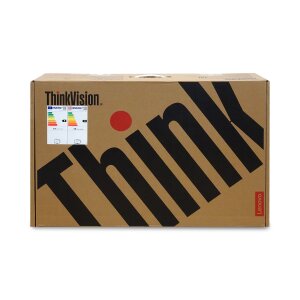 Lenovo ThinkVision P27q-20 27 Zoll WQHD Monitor