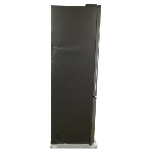 Samsung RL38A776ASR/EG Kühl-Gefrierkombination