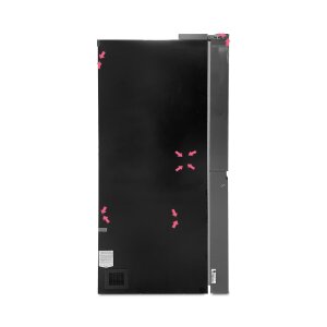 LG GSLE91EVAC Side-by-Side Kühlschrank