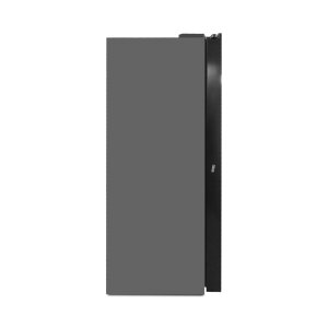Samsung RF65DG9H0EB1EF Side-by-Side Kühlschrank
