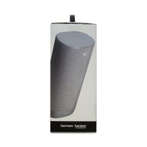 Harman Kardon Citation Surround 2 Stück Lautsprecher, Grau