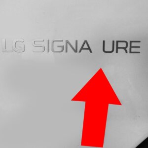 LG Signatur LSWD100E Waschtrockner