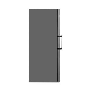 Gorenje R619DAXL6 Kühlschrank