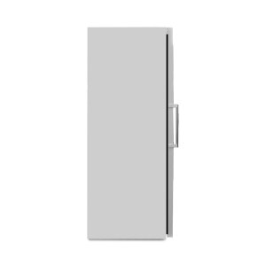 Bosch GSN58AWDV Serie 6 XXL-Gefrierschrank