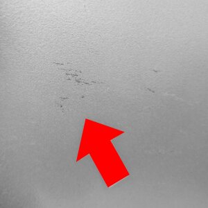 Einzelstück - Beko B5RCNA406DHXB1 Kühl-Gefrierkombination